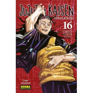 Jujutsu Kaisen | 16